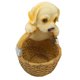 thumbnail image 4 of Bandeja para llaves de cachorro, placa de almacenamiento de resina, soporte para joyas, decoración del hogar para dormitorio y oficina, 4 of 12