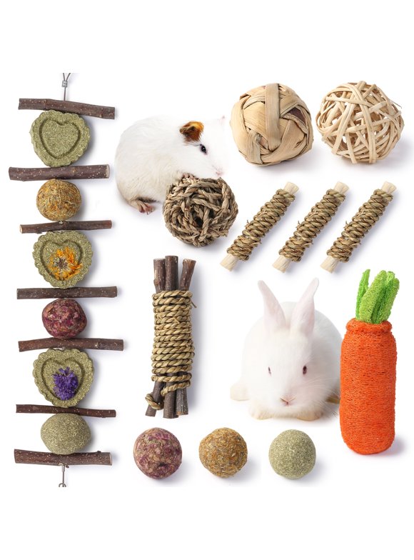 Guinea Pigs in Pets