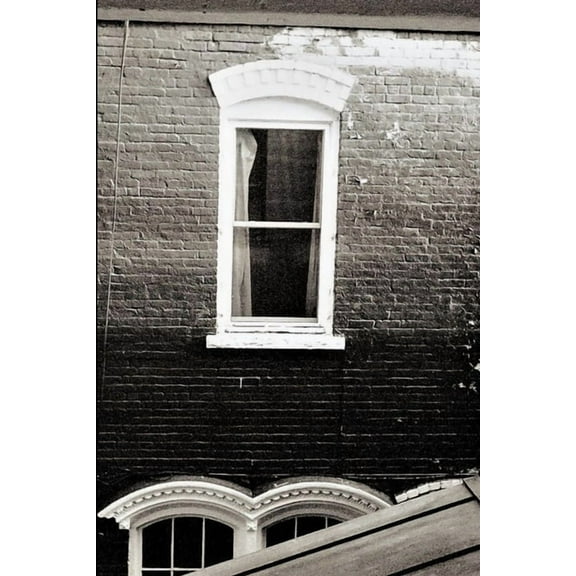 Betrayal In Your Beekman Arms Illustrated, (Paperback)