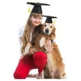 Pet Graduation Hat Dog Cat Graduation Hat Dog Hat Doctor Hat Graduation