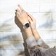 thumbnail image 3 of Reloj CASIO A168XES-1BVT Vintage gris 39 mm, 3 of 3