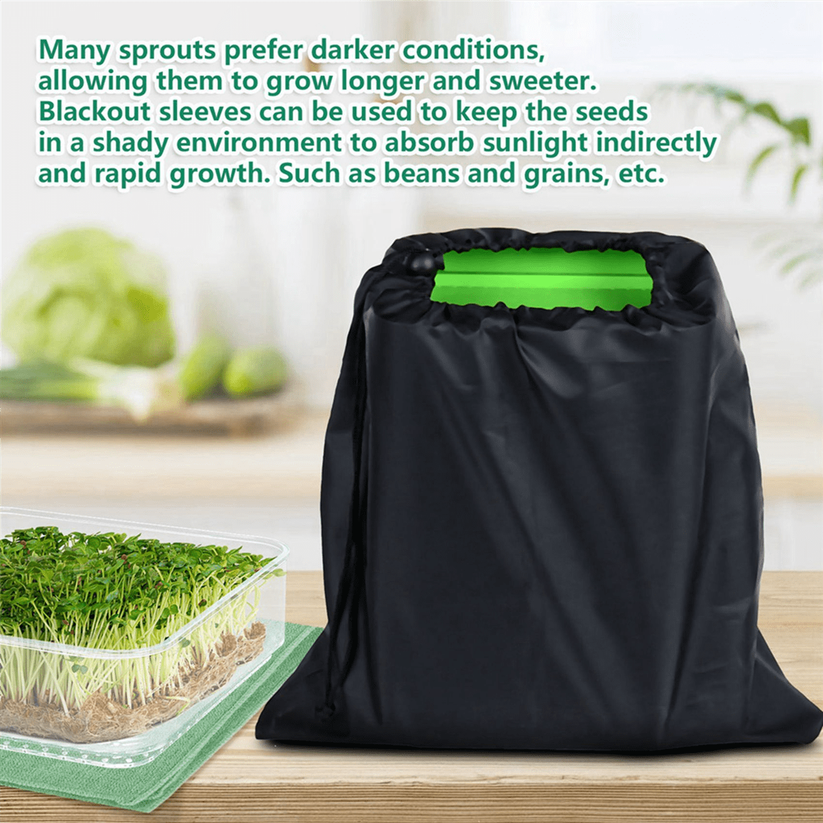 2X Bean Seed Germination Kit, Micro-Green Plant Growing Tray, Drain Four-Tier Stackable Sprout Kit