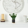 thumbnail image 3 of Nearly Natural 10" Cactus Succulent Artificial Plant in Planter, Green, 3 of 4