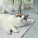 thumbnail image 3 of Almohadilla De Hielo Para Mascotas Ice Doudou, Almohadilla Refrescante De Verano, Suministros Transpirables Para Mascotas, Dise O Radiante Base Antideslizante, Tapete Refrescante Para, 3 of 7
