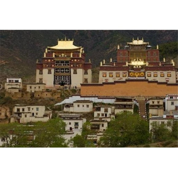 Danita Delimont PDDAS07POX0000B Deqin Tibetan Autonomous Prefecture Songzhanling Monastery Zhongdian Yunnan Province China Poster Print by Pete Oxford, 19 x 12