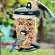thumbnail image 1 of Outdoor Hanging Bird Feeder Automatic Water Food Container Garden Yard Decor, 1 of 5