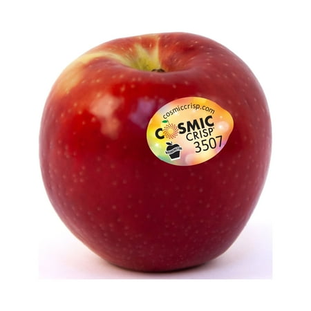 Fresh Cosmic Crisp Apple, Each