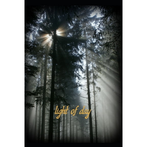 light of day (Paperback)