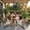 Brown + HDPE+2, variant on Double Hanging Egg Chair with Stand Patio Hammock Swing Loveseat with Cushion Indoor Outdoor Grey