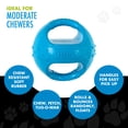thumbnail image 4 of Hero Squeakables Kettle Ball Juguetes para perros Juguetes para cachorros Juguetes para mascotas Medianos 5 pulgadas (azul), 4 of 5