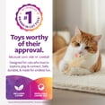 thumbnail image 3 of SmartyKat Madcap Mania Mouse, Soft Plush Catnip Cat Toy with String Tail, with Pure & Potent Catnip, Refillable & Durable, 3 of 12