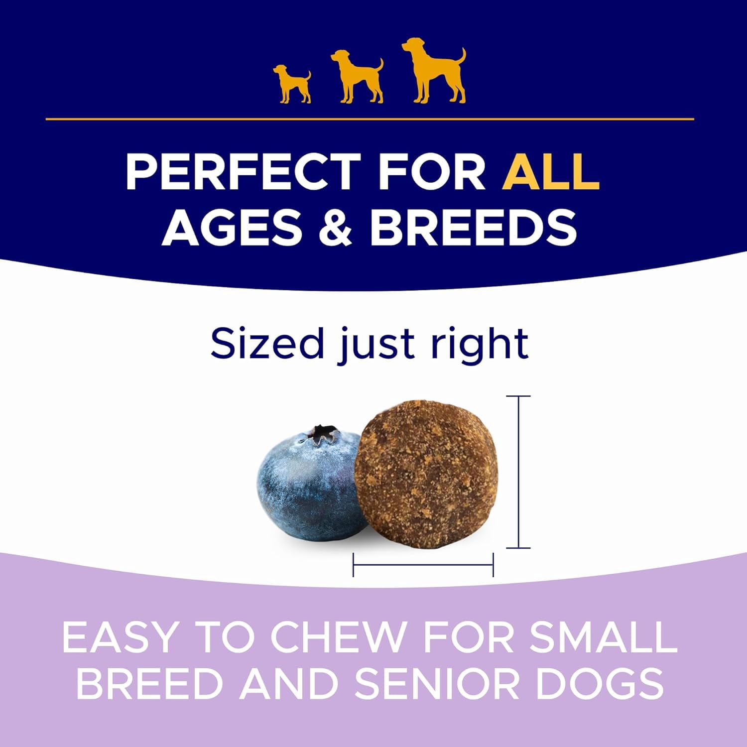 Probiotic & Digestive Enzyme Chews for Dogs - Gut Health, Diarrhea & Allergy Relief - Pumpkin & Omega-3 Prebiotic Supplement