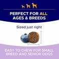 thumbnail image 5 of Probiotic & Digestive Enzyme Chews for Dogs - Gut Health, Diarrhea & Allergy Relief - Pumpkin & Omega-3 Prebiotic Supplement, 5 of 8