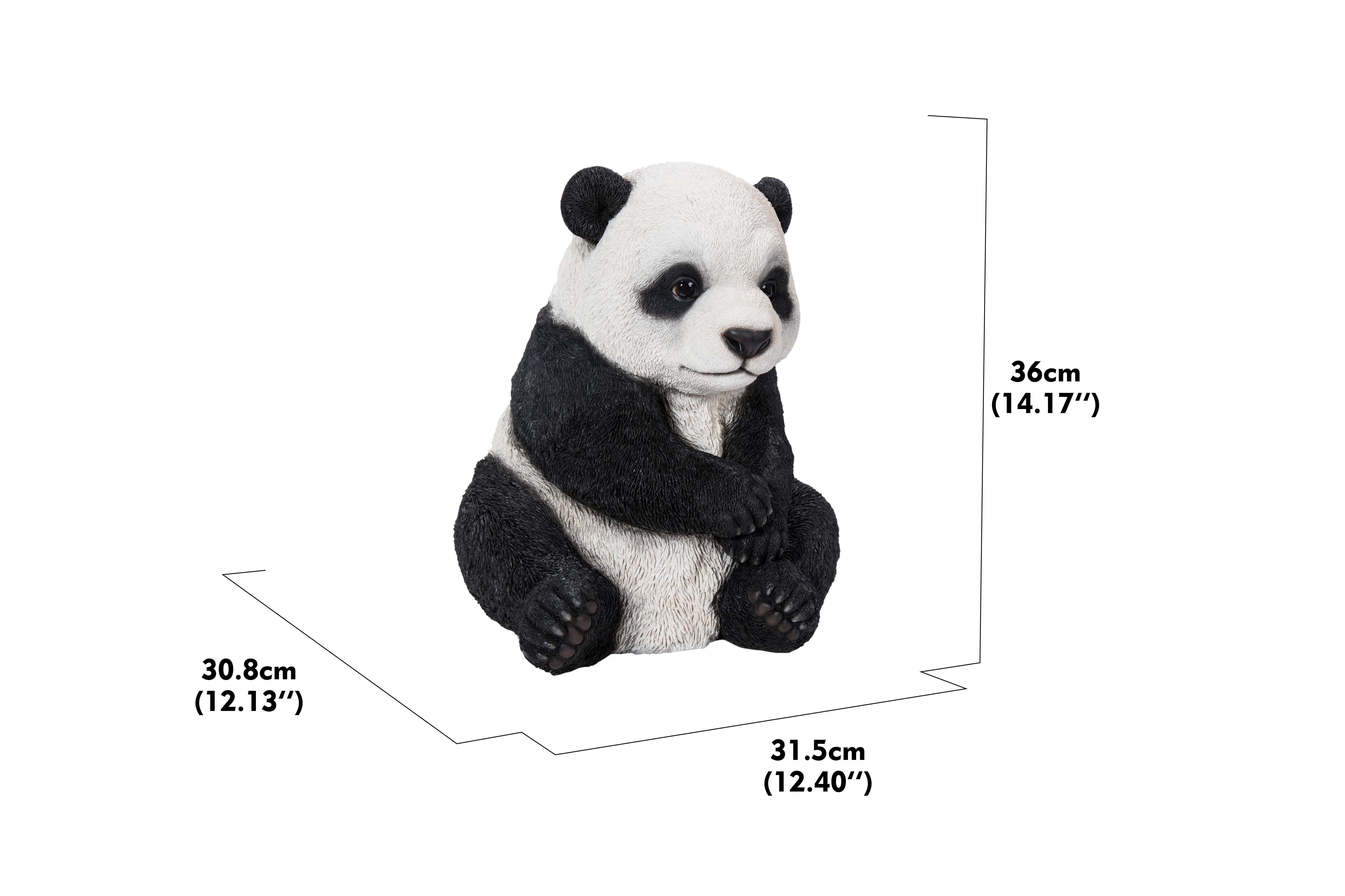 SMALL PANDA CUB SITTING