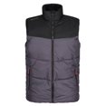 thumbnail image 1 of Regatta - Chaleco Forro Polar Aislado Regime Hombres (Hierro, Negro) Regatta UTRG6347_ironblack, 1 of 5