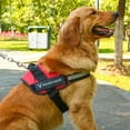 thumbnail image 2 of Scmkd Large Dog Harness with Padded Handle for Easy Control - No Pull Pet Harness, 2 of 19