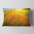 thumbnail image 2 of Designart Beautiful Sunshine over Poppy Fields - Floral Throw Pillow - 12x20, 2 of 5