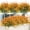 Orange, variant on Scidweet Fall Artificial Plants Outdoor, 16 Bundles Autumn Fake Faux Grass Plastic Plants Fall Decorations for Patio Garden Porch Yard Home Fall Decor, Red