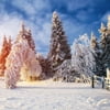 SAYFUT 5x7ft Christmas White Snow Winter Tree Road Photography Backdrop Bokeh Wonderland Background Snowflake Glitter Newborn Baby Portrait Banner Xmas Party Decorations Photo Studio Props
