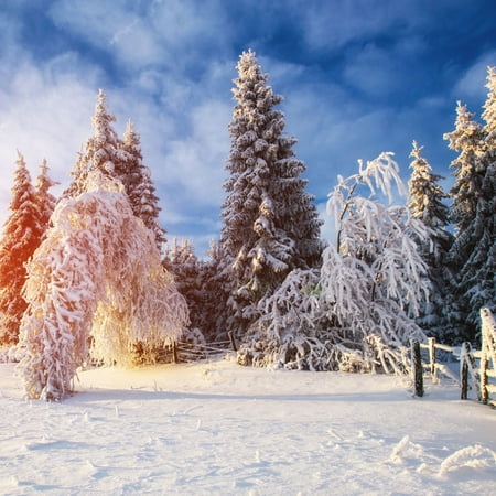 SAYFUT 5x7ft Christmas White Snow Winter Tree Road Photography Backdrop Bokeh Wonderland Background Snowflake Glitter Newborn Baby Portrait Banner Xmas Party Decorations Photo Studio Props