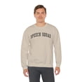 thumbnail image 6 of Speech Therapist Language Pathologist SLP Teacher Sweatshirt Gifts Shirt, 6 of 7