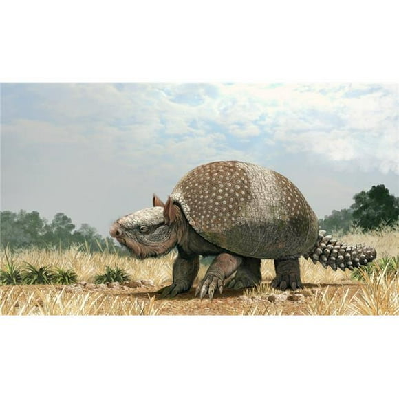 StockTrek Images PSTRGM600027P Glyptotherium Arizonae A Glyptodontid From The Pleistocene Megafauna of North America Poster Print, 18 x 10