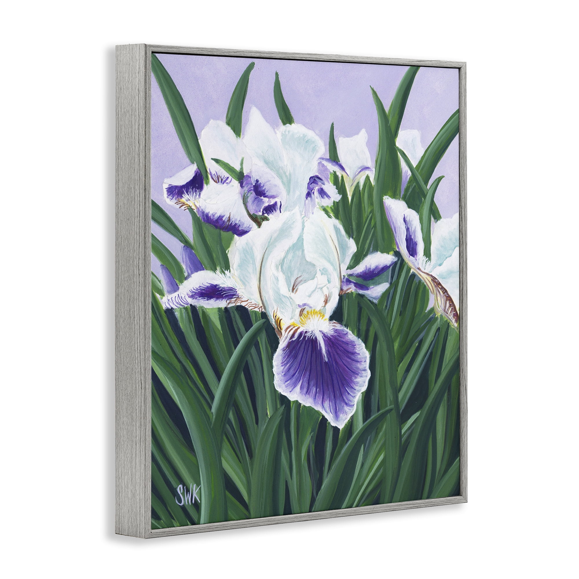 Stupell Industries Purple & White Irises Gray Framed Giclee Art, design by Sarah Waldron Kimball