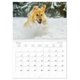 thumbnail image 5 of Luck has a name - Golden Retriever (Monthly Wall Calendar 2026 11.7 x 16.5 (open)), CALVENDO 14 Month Calendar, 5 of 9