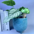 thumbnail image 4 of Inteprter Cómodo bebedero para plantas con riego automático No se preocupe cuando está lejos Sistema de riego por goteo Riego de plantas Jardín y Patio dos, 4 of 6