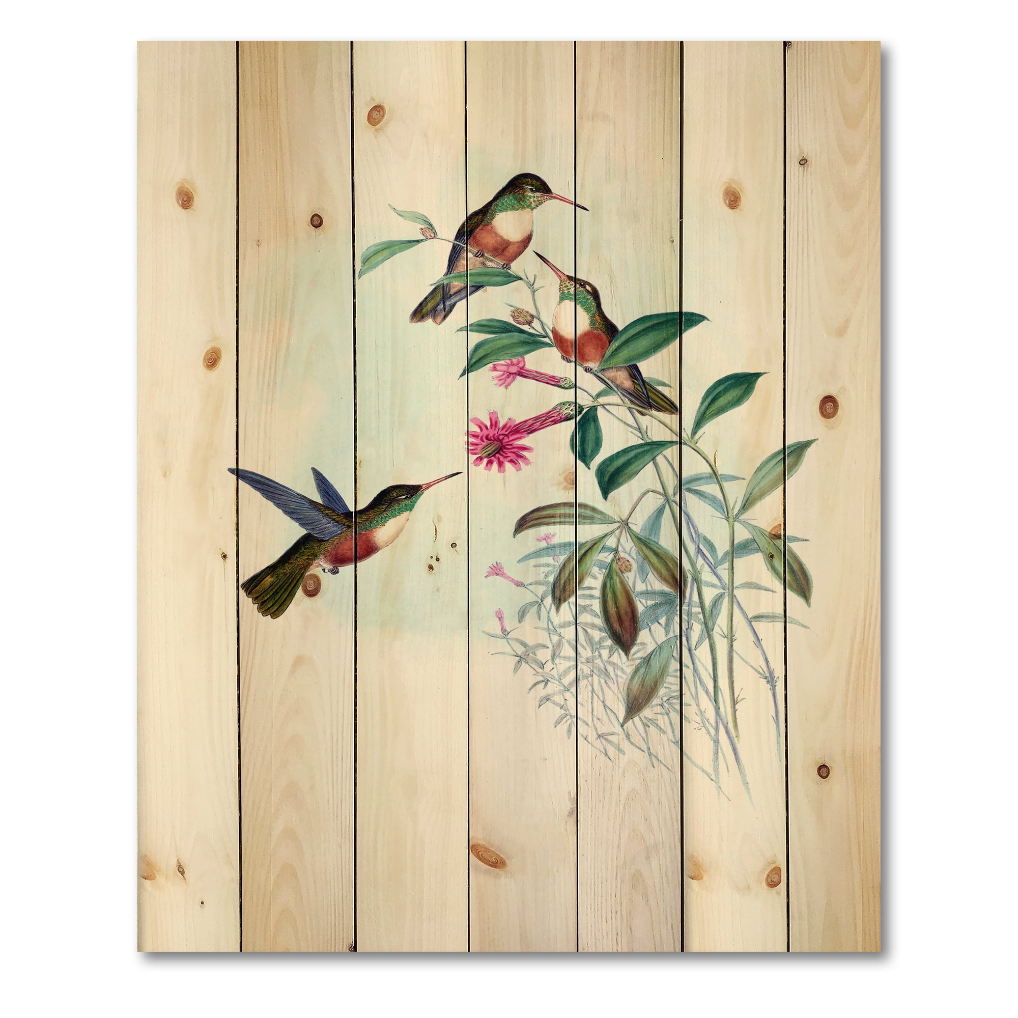 Designart 'Ancient Hummingbird IV' Traditional Print on Natural Pine Wood