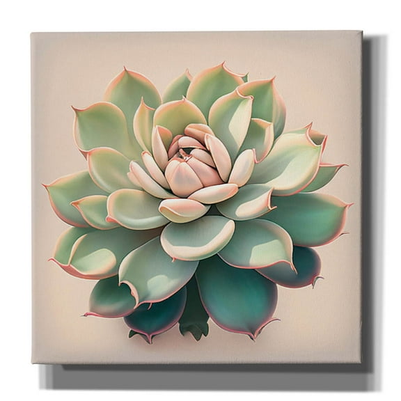 Epic Graffiti 'Echeveria Pulidinis' by Incado Canvas Wall Art, 12" x 12"