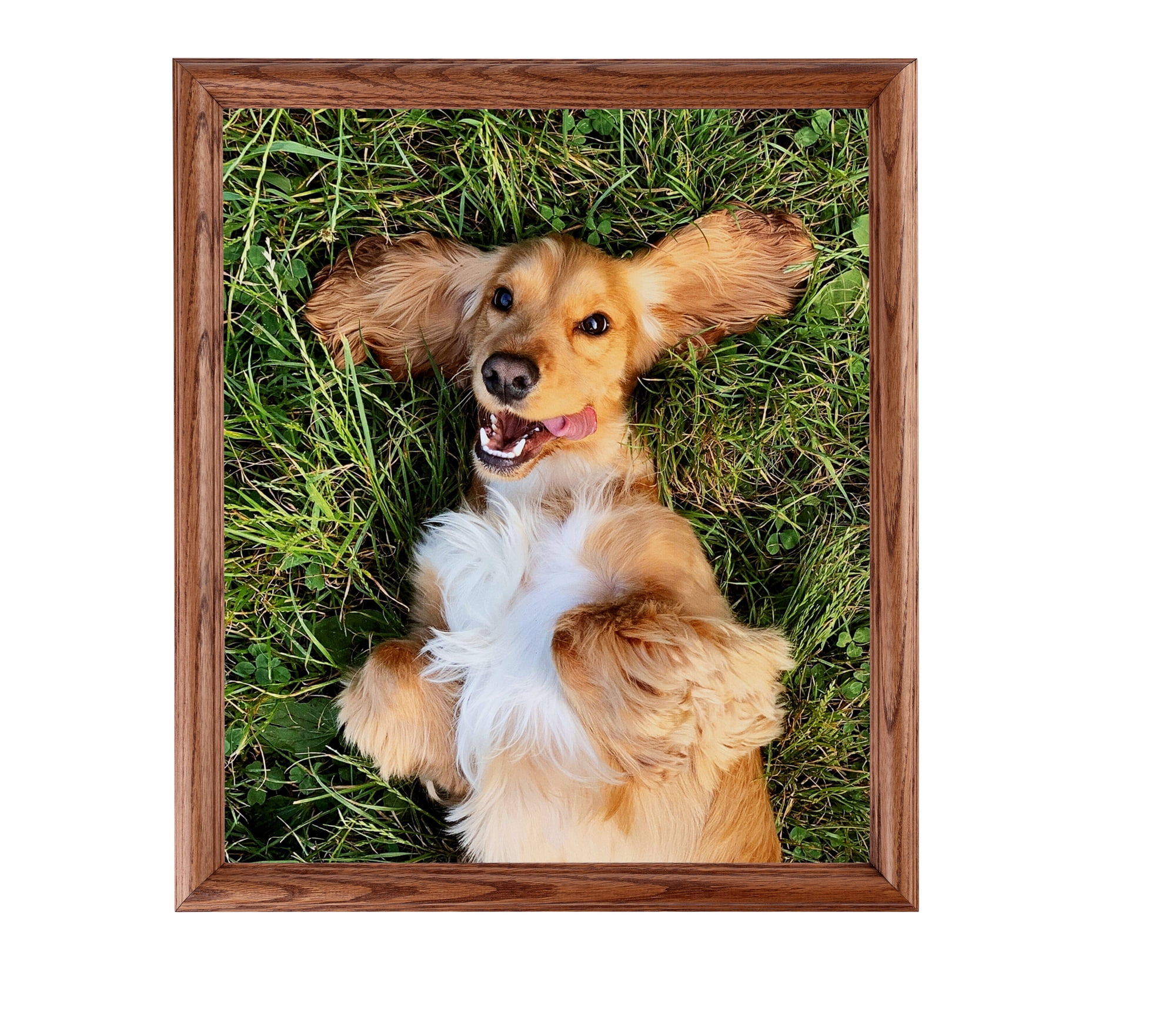 ArtToFrames 18x24 Inch Honey Picture Frame, This Brown Wood Poster Frame is Great for Your Art or Photos, Comes with 060 Plexi Glass (4380)