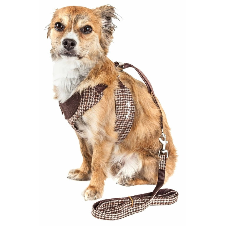 designer dog leash