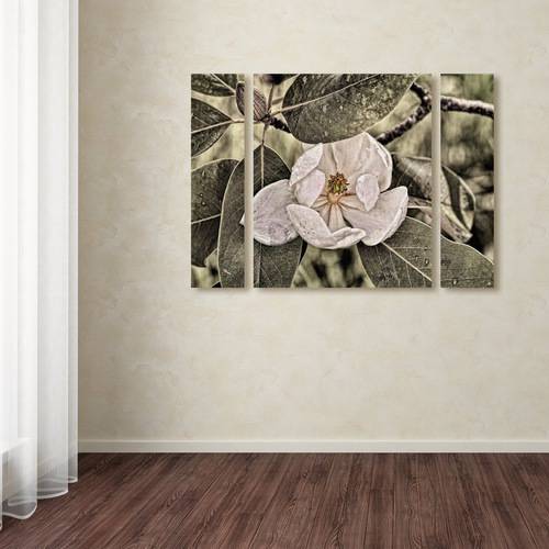 Trademark Fine Art ''White Magnolia'' by Lois Bryan 30" x 41" Multi Panel Art Set Large (886511916821)