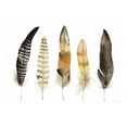 thumbnail image 2 of McKenna, Kathleen Parr 32x23 White Modern Wood Framed Museum Art Print Titled - Natural Feathers, 2 of 4