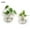 2pcs, variant on DZORUN Wall Vases Hanging Planter Propagation Station Clear Terrarium Wall Glass Vase for Flowers Hydroponics Plant Home Office Decor Present 2 Pcs