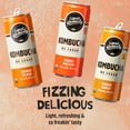 liquid-kombucha-sugar-free-organic-drink-low-calorie-probiotic-like
