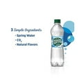 thumbnail image 5 of POLAND SPRING Sparkling Water 24 pk, 0.5 LT, 5 of 6
