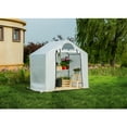 thumbnail image 5 of 6'X4' MINI GREEN HOUSE, 5 of 6