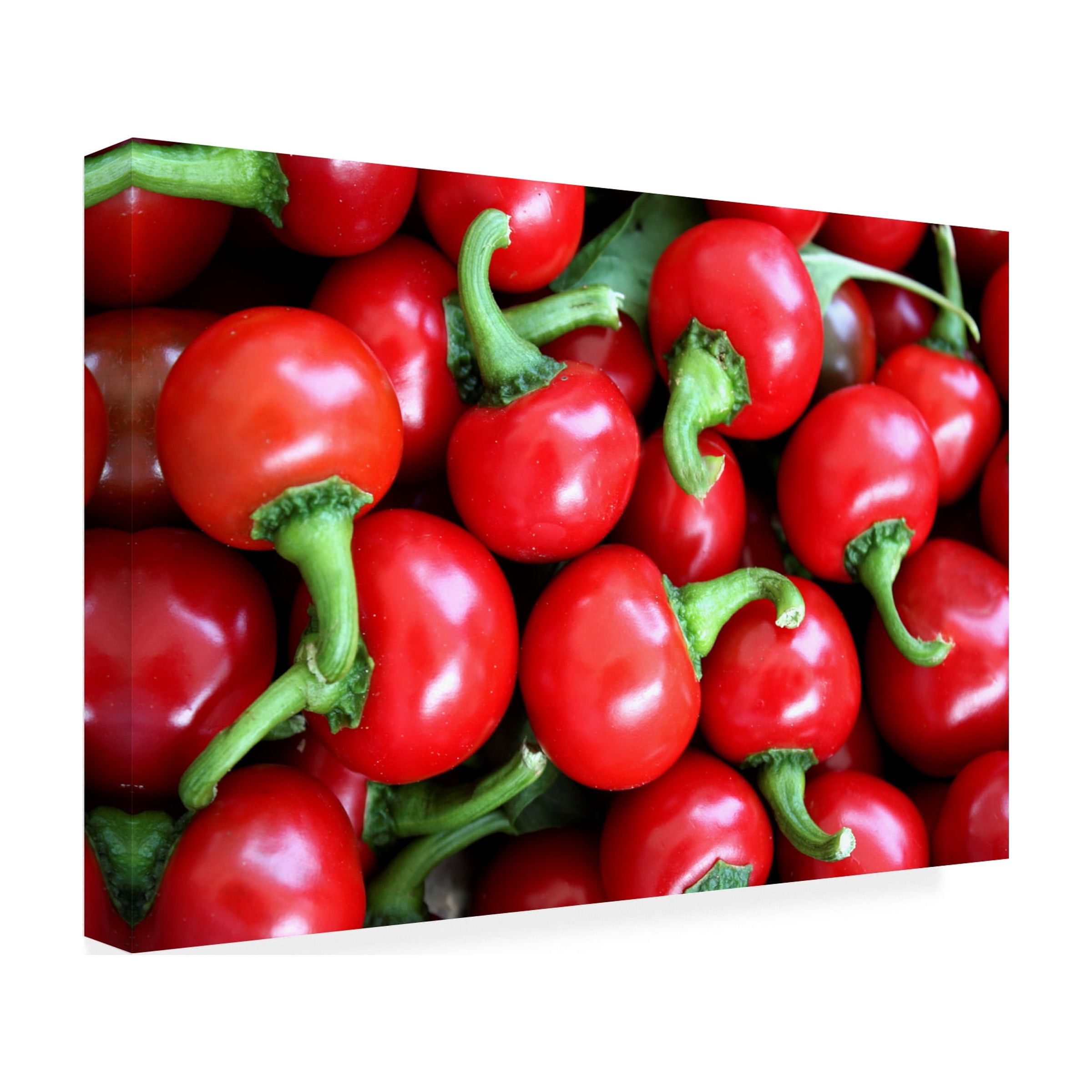 Canvas Wall Art - DANE 'Food 76' Wall Art for Living Room, Bedroom, or Office Décor by Trademark Fine Art - 32 x 22 Inches