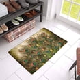 thumbnail image 2 of MKHERT Watercolor Vintage Peacock Feathers Doormat Rug Home Decor Floor Mat Bath Mat 23.6x15.7 inch, 2 of 3