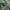 Green Jungle, variant on Your Zone 5-Piece Green Jungle Polyester Bedding Set for Kids, Twin