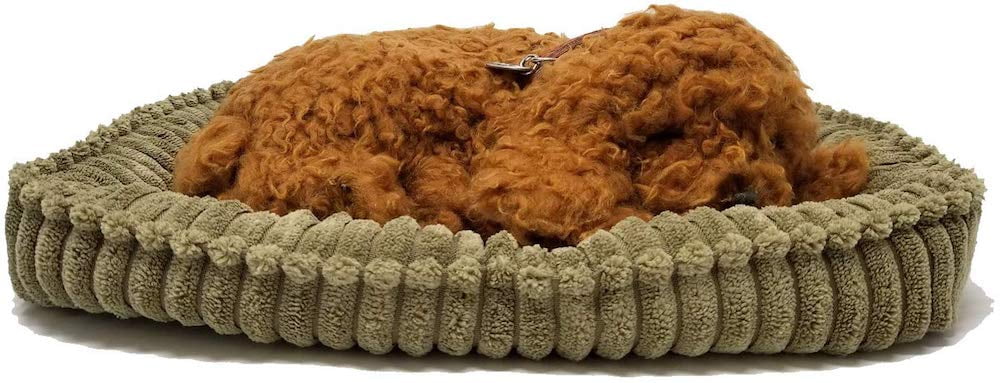 breathing toy dogs and cats