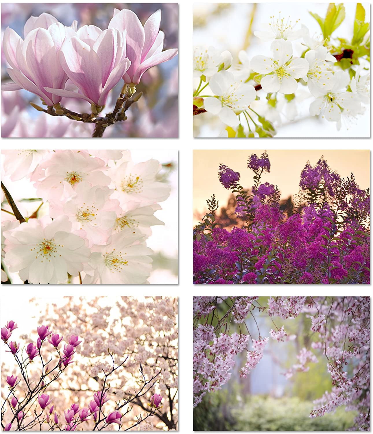 Spring Blossoms Blank Note Cards - Flower Greeting Cards with Envelopes - 6 Unique Designs - 5.5'x4.25' (12 Pack)