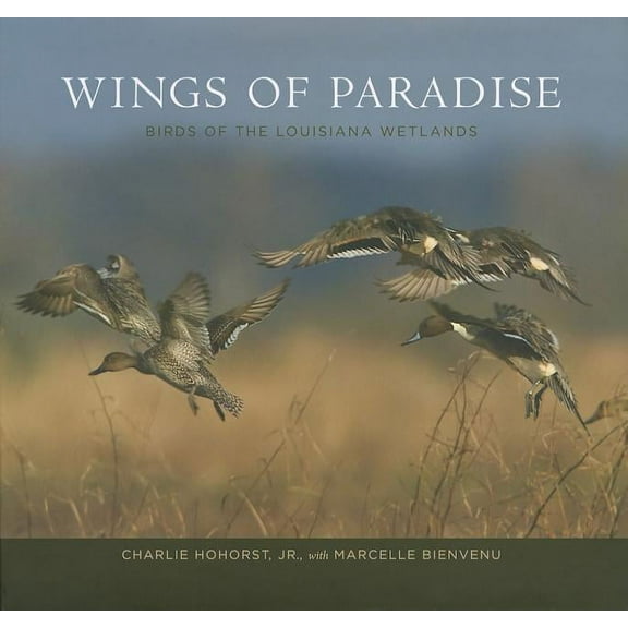 Wings of Paradise: Birds of the Louisiana Wetlands, (Hardcover)