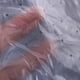 thumbnail image 5 of EeaseMX 12 gorros de peluquería para teñir el cabello, con chal (estilo aleatorio), 5 of 7