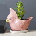 thumbnail image 3 of Lindo adorno de para pntas suculentas Oficina Aloe Rosa Gloria Contenedor suculento, 3 of 9