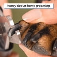 thumbnail image 6 of Dog & Cat Pets Nail Clippers and Trimmers, with Safety Guard to Avoid Over Cutting, Professional Grooming Tool for Pets, 6 of 7
