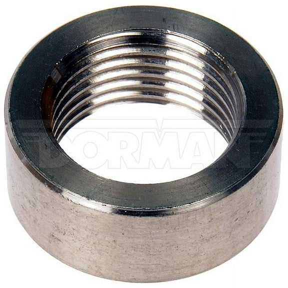 Dorman 917-110 02 Sensor Bung SS 18 MM
