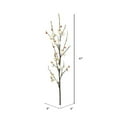 thumbnail image 3 of Vickerman 47" Artificial Cream Plum-Blossom Stem, 3 of 3